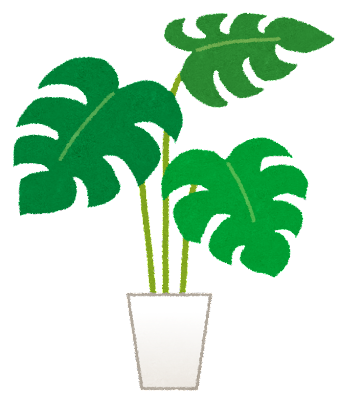 風水 玄関におすすめの運気が上がる観葉植物11選 裏ワザも 住宅情報リアルブログ 風水 玄関におすすめの運気が上がる観葉植物11選 裏ワザも 住宅情報リアルブログ